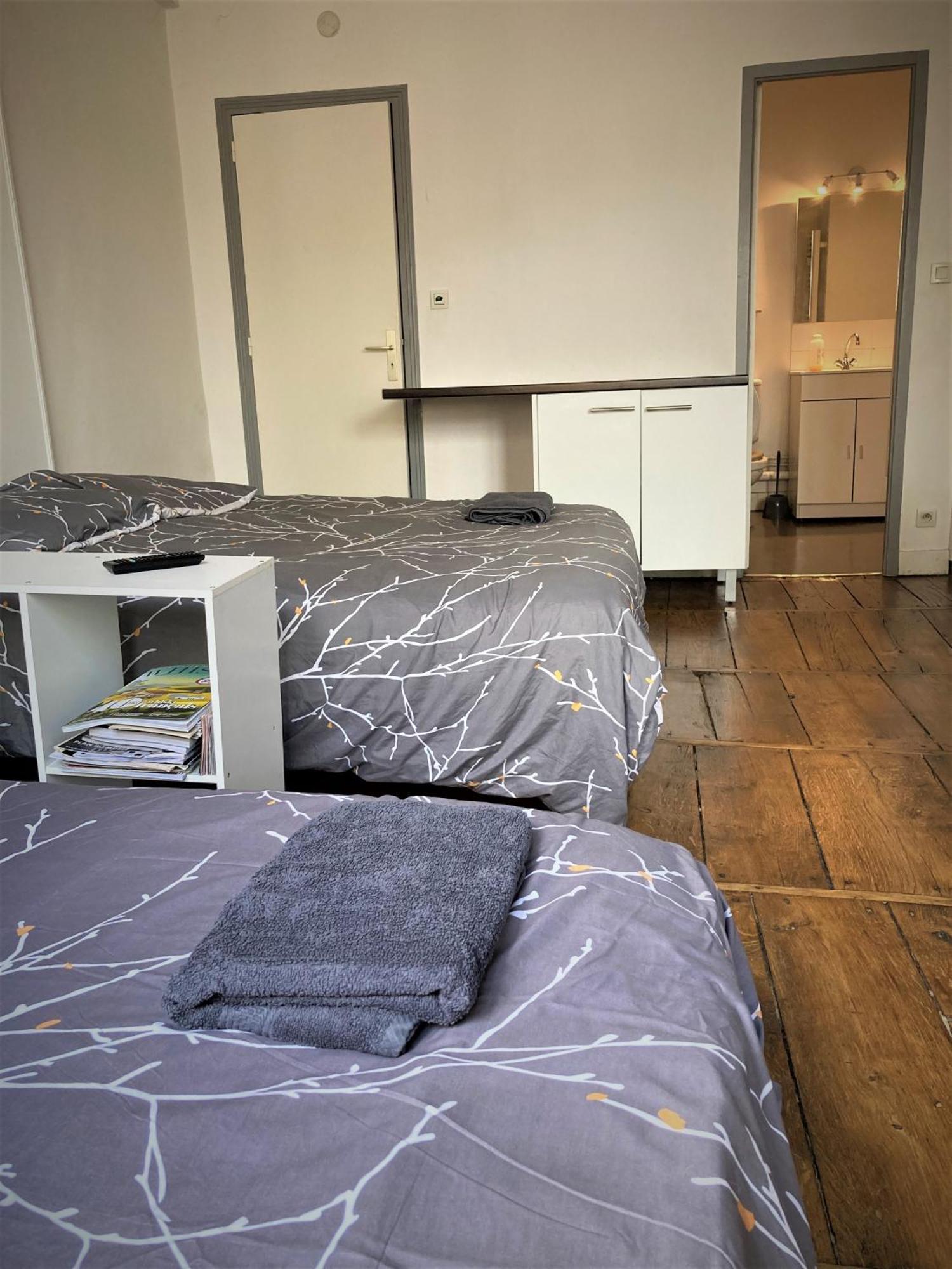 Studio Double 21 Centre De Limoges Wifi Zewnętrze zdjęcie